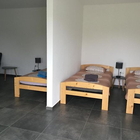 Monteurwohnung 2 Ingelheim am Rhein Exterior foto