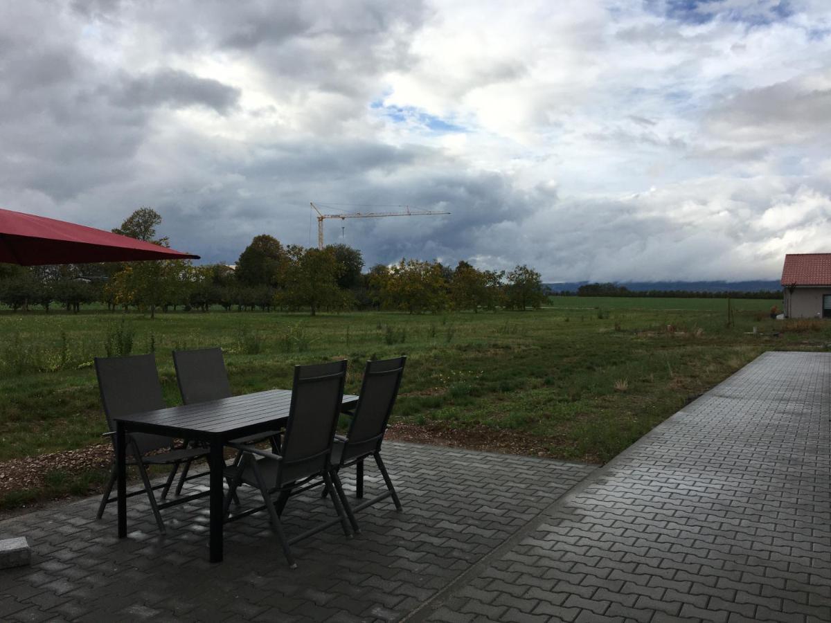 Monteurwohnung 2 Ingelheim am Rhein Exterior foto